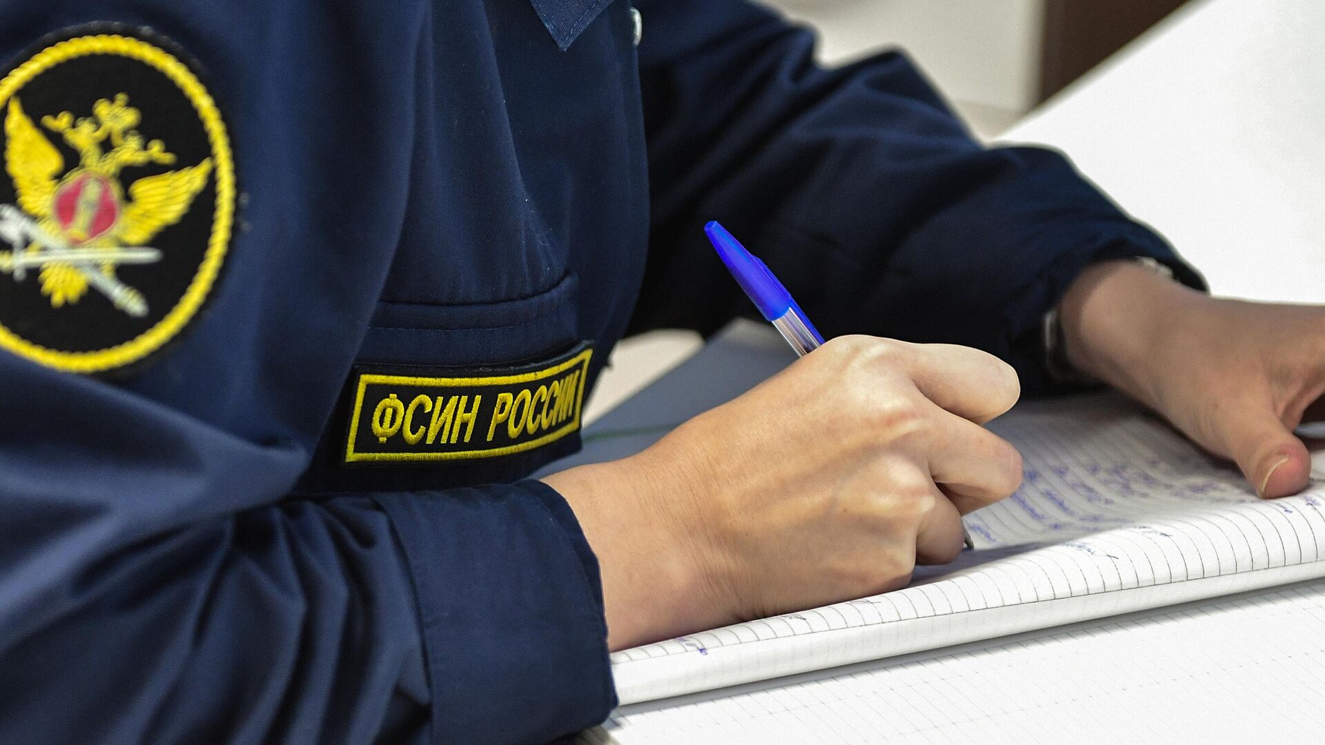 У колонии в Нижегородской области поймали кота-наркокурьера